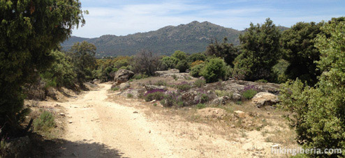 Alto del Pinar