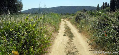 Die Weingegend-Route