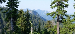 Vista dalla Grouse Mountain