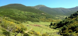 Valle de Bustamores