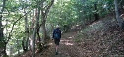 Trail through Monte de Las Hayas