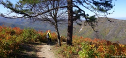 Sul Brown Mountain Trail
