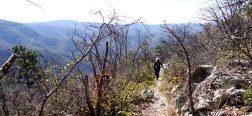 Sul Brown Mountain Trail