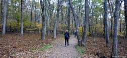 On the Appalachian Trail
