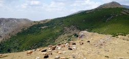 Abstieg vom Pico Almonga
