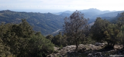 Views from Punta su Scrau
