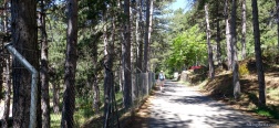 Trail along the Reservoir of Romeral