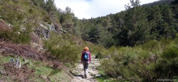 Trail to the Puerto de la Fuenfría