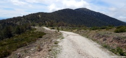 Path to the Collado de Marichiva