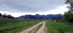 Trail through Los Eriales