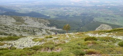 Abstieg ab La Pinareja
