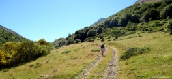 Camino en el Valle de Luriana