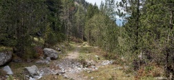 Trail towards the Coll de Jou