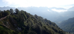Wald von La Espelunguère