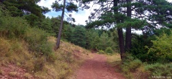 Trail near the Cortal de Porta