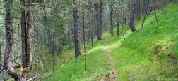 Trail towards Prat Major