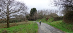 Path to Carnoedo