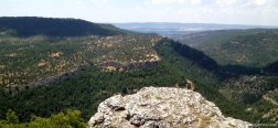 View from the Picón de Royo Frío