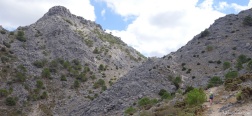Trail to El Lucero