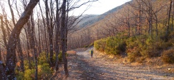 Path to El Cardoso de la Sierra