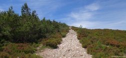 Trail on the Lomo de las Caseruelas