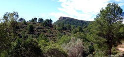 View towards the Mola de Segart