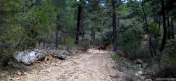 Trail near the Parador of Cazorla
