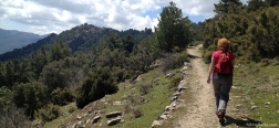 Trail towards the Puerto del Tejo