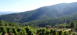 Wijngaarden langs de Camino del Pozo de Nieve