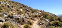 Climb to the Collado de la Gitana