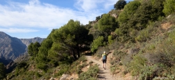Trail to the Collado Sevilla