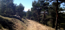 Path to Majada del Cojo