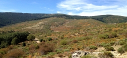 View on the way to the Pass of La Acebeda