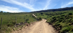 Trail through Las Hazas