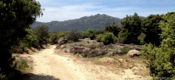 Trail near the Alto del Pinar
