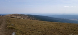 Descent from the Pico Urbión