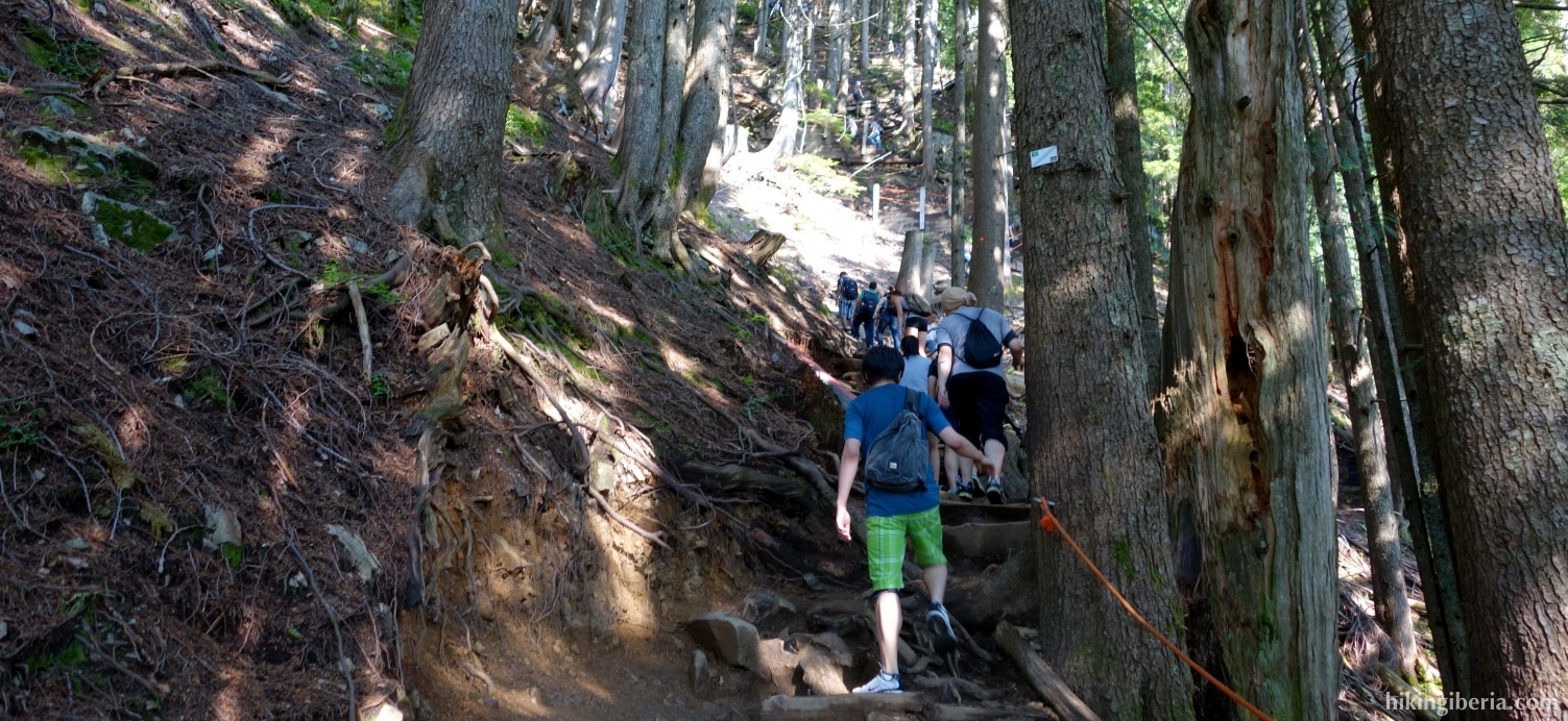 Ascent via the Grouse Grind