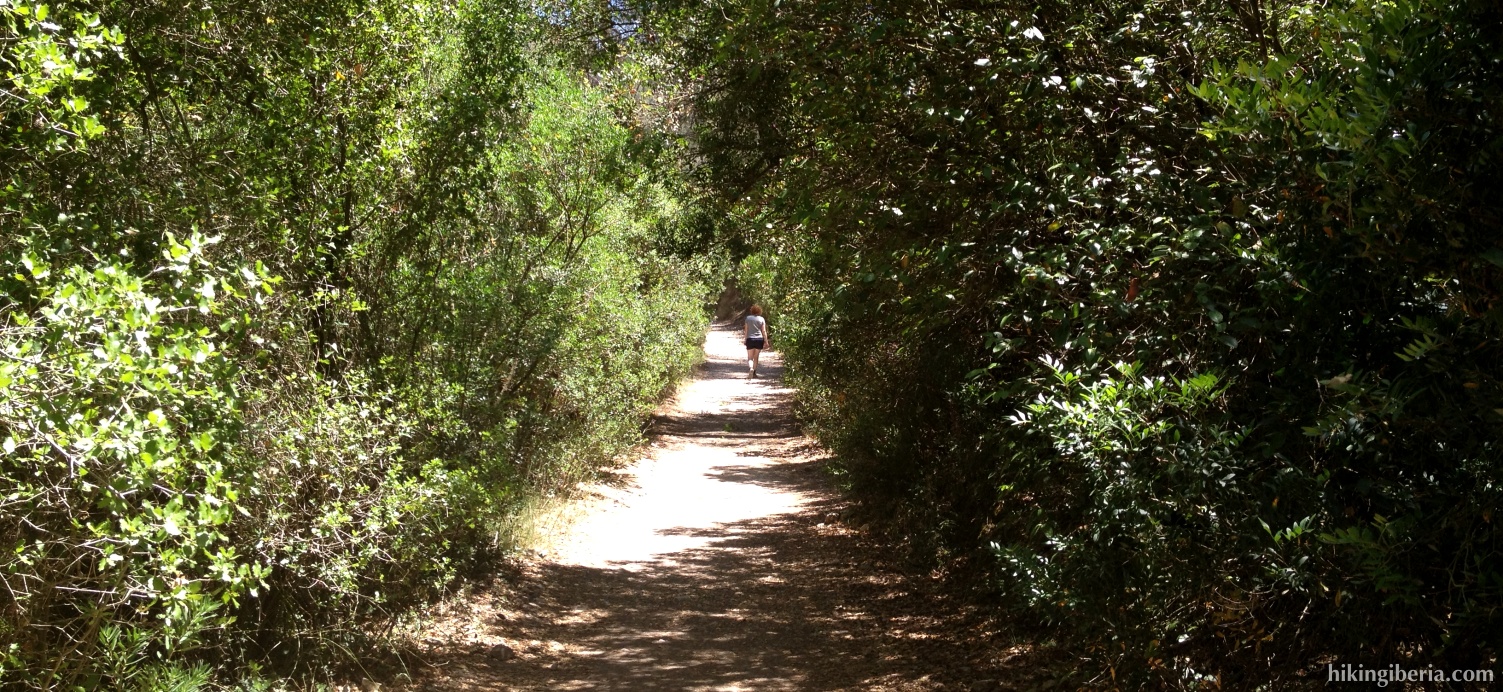 Path along the Cuchillos