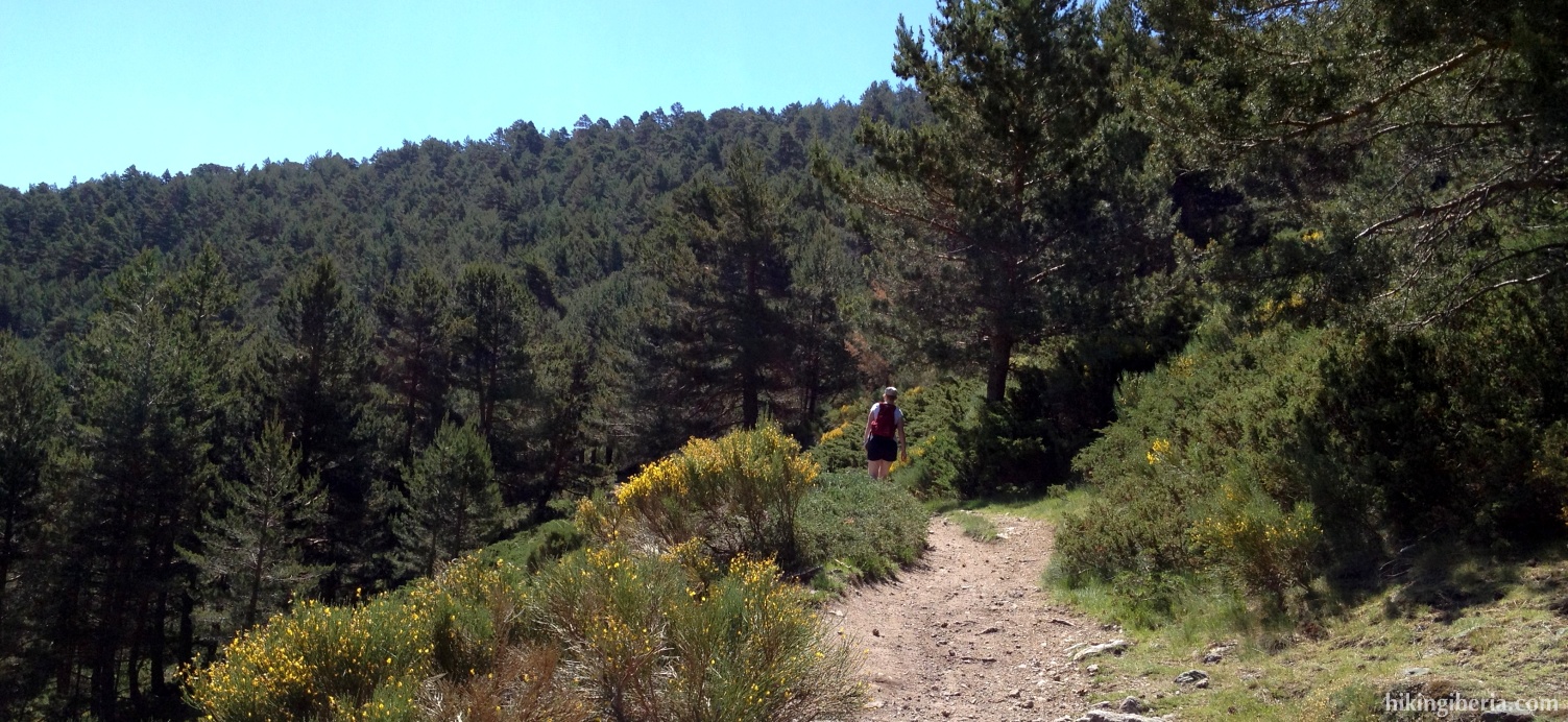 Trail to the Arroyo de las Guarramillas