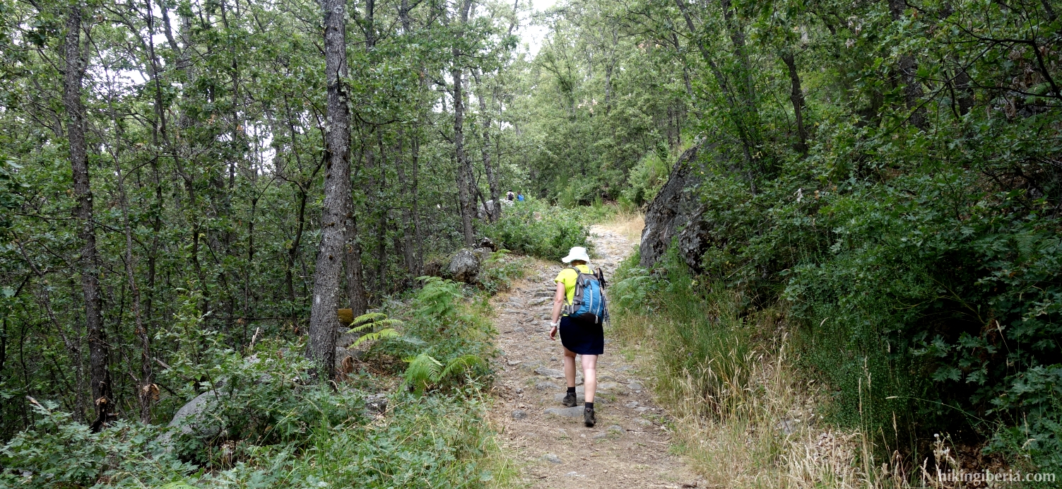 Trail to San Martin de Castañeda