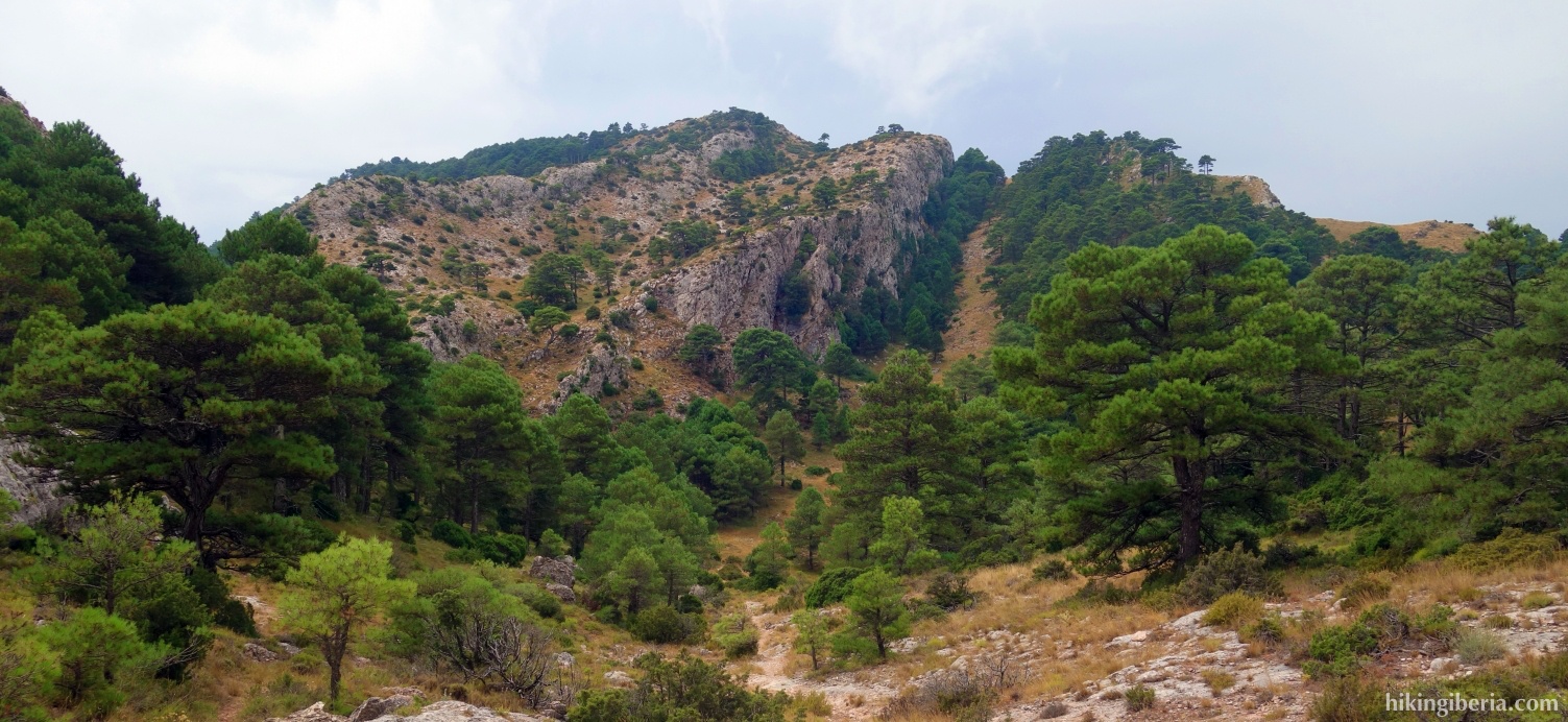 View from the dirt road towards the Barranc dels Cubars