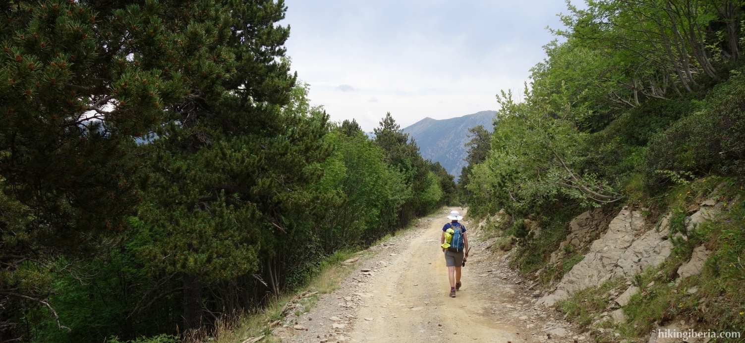 Dirt road on the descent to the Collado de Conflent