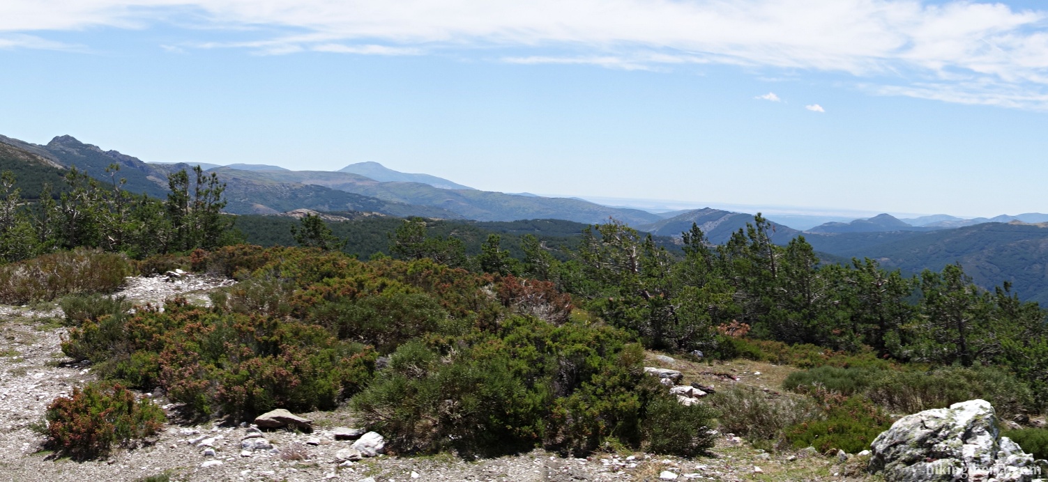 View from the Lomo de las Caseruelas