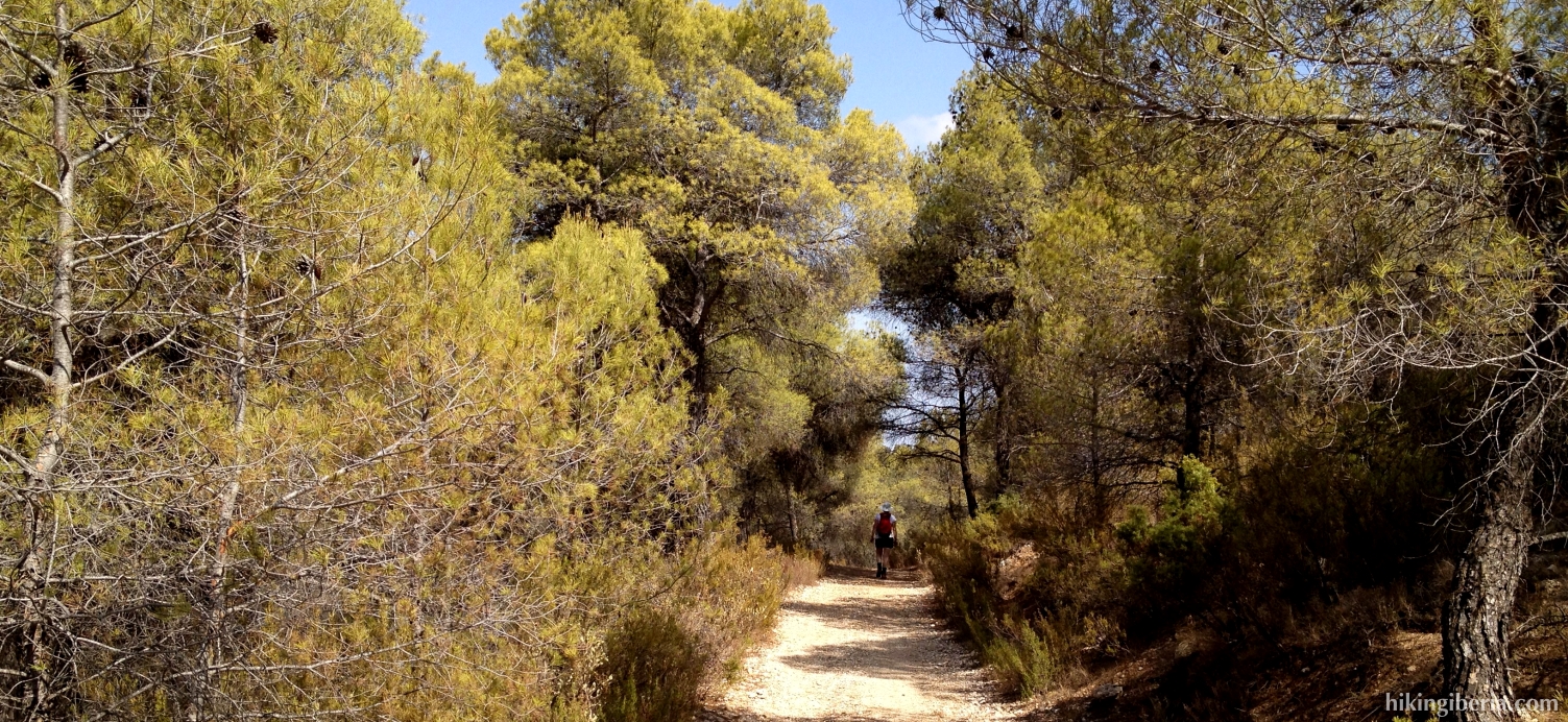 Path through the Barranco de las Brujas