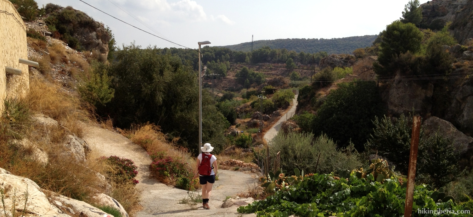 Trail near El Berro