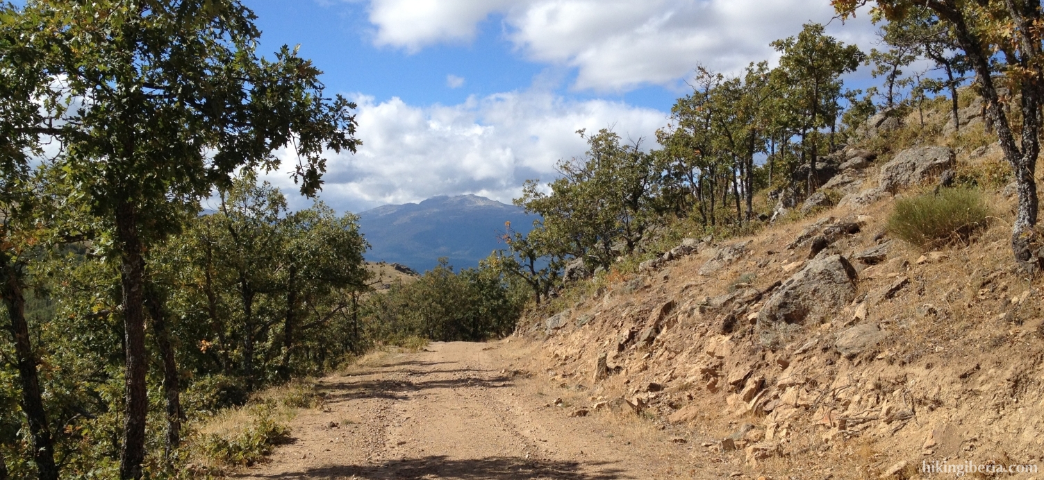 Trail close to the Cachiporrilla