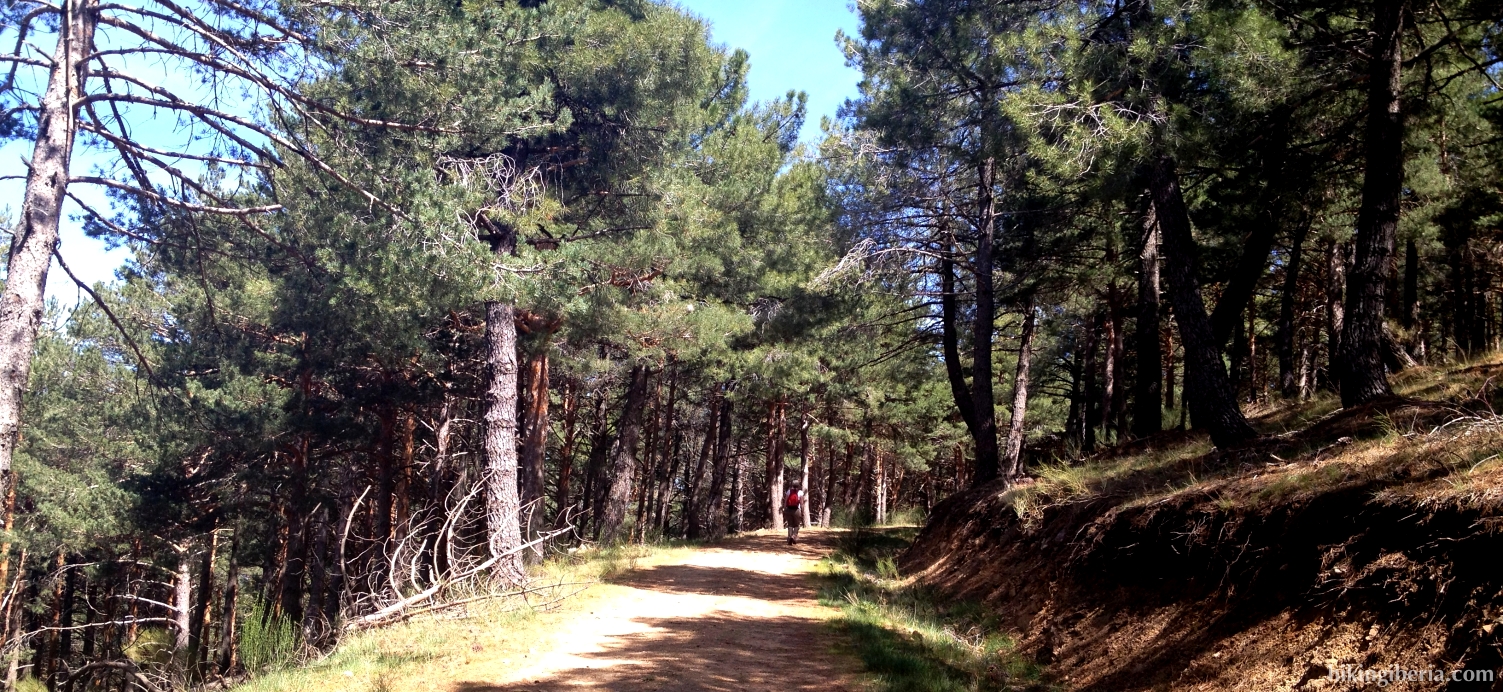 Trail to Pico Regajo