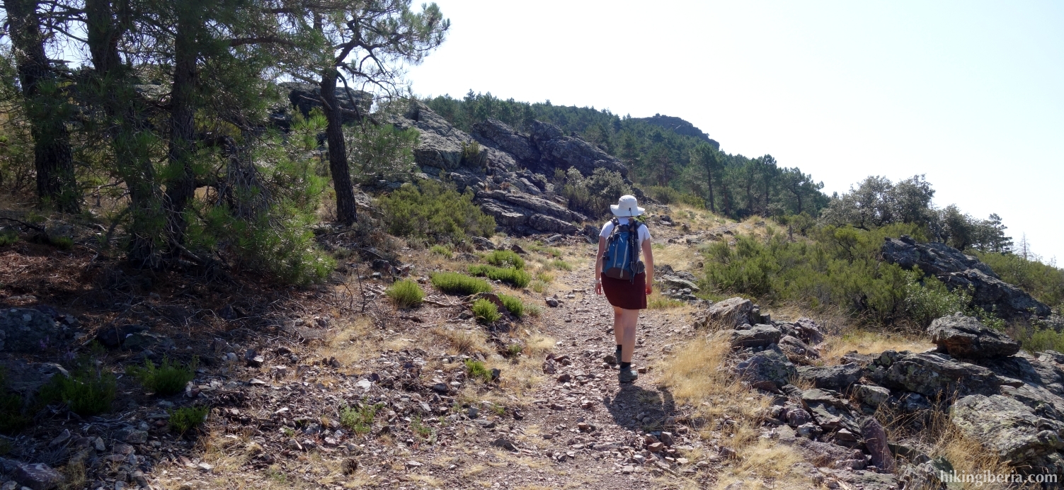 Trail through the Risco de los Acebos
