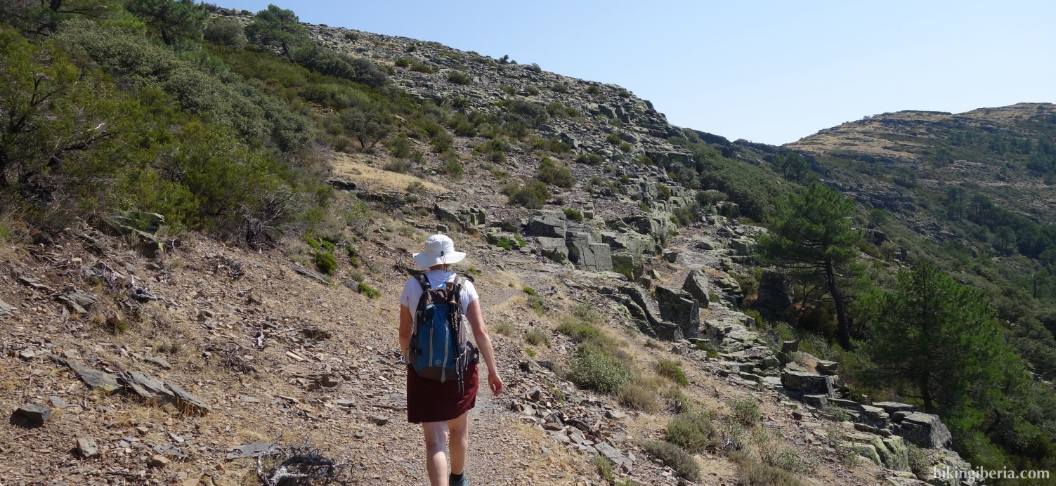 Trail through the Risco de los Acebos