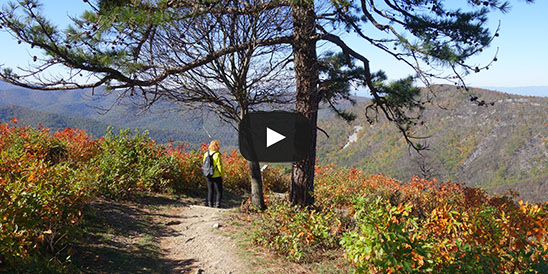 Video Rocky Mountain und Brown Mountain